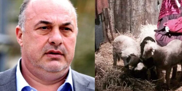 Σάλος: Ο Μπέος στόλισε πάλι φάτνες με αληθινά ζώα