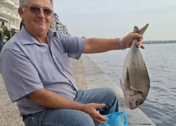 Ψαράς έπιασε τσιπούρα στον Θερμαϊκό και θα τη φάει – «Είναι λουκούμι»