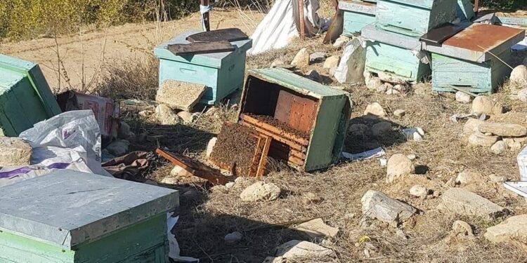 Αρκούδα προκάλεσε ζημιές σε κυψέλες σε περιοχή της Νέας Ζίχνης Σερρών