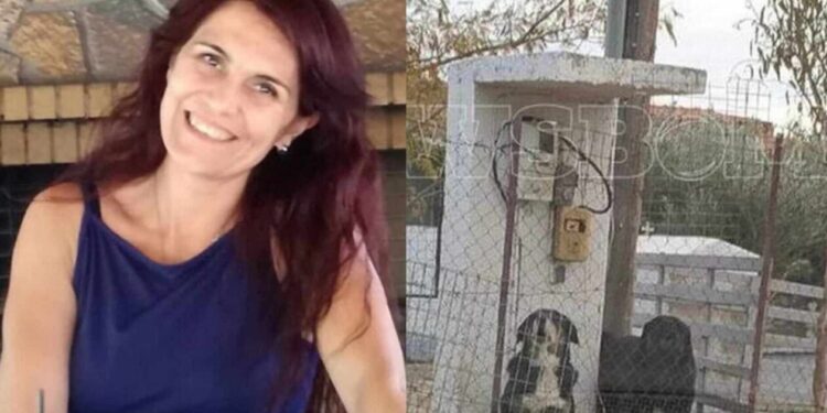 Θεσσαλονίκη: Στον ανακριτή σήμερα ο 37χρονος ιδιοκτήτης των σκύλων που κατασπάραξαν την 50χρονη