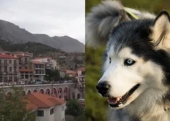 Ξενοδόχοι της Αράχωβας για το cancel: «Με τη λογική αυτή να μην ξαναπάμε στην Σαλαμίνα διότι έγινε ανθρωποκτονία»