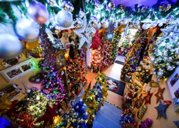 Ρεκόρ με τα χριστουγεννιάτικα δέντρα της σπάει οικογένεια στη Γερμανία – Έχει 555 μέσα στο σπίτι