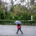 Μαρουσάκης: Κακοκαιρία με βροχές και χιόνια στα ορεινά μέχρι το Σαββατοκύριακο – Ανοιξιάτικο σκηνικό από Τρίτη
