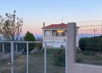 Θεσσαλονίκη: Δεκάδες δαγκωματιές σε όλο το σώμα δέχθηκε η 50χρονη – Τι έδειξε η ιατροδικαστική εξέταση