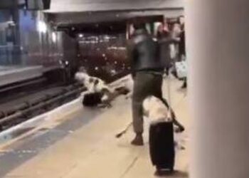 Μεγάλη Βρετανία: Σκυλιά επιτέθηκαν σε άνδρα σε σταθμό τρένου – Τρομακτικό βίντεο