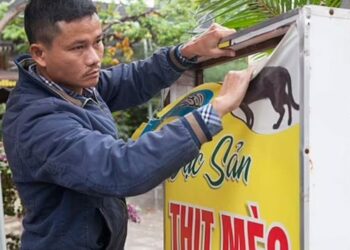 Βιετνάμ: Ιδιοκτήτης εστιατορίου σκότωνε 300 γάτες τον μήνα για να φτιάξει σούπες