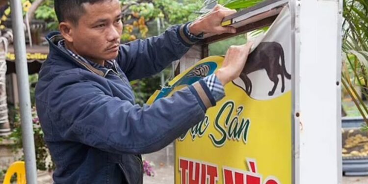 Βιετνάμ: Ιδιοκτήτης εστιατορίου σκότωνε 300 γάτες τον μήνα για να φτιάξει σούπες