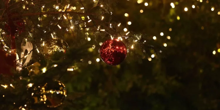 Κρήτη: Μαθήτρια έπαθε ηλεκτροπληξία ενώ στόλιζε χριστουγεννιάτικο δέντρο στο σχολείο της