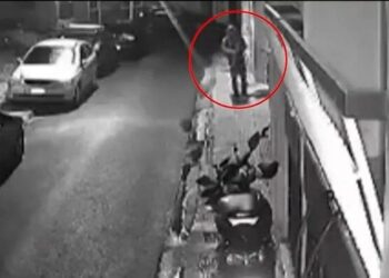 Βοτανικός: Στη φυλακή ο 33χρονος που σκότωσε γάτες