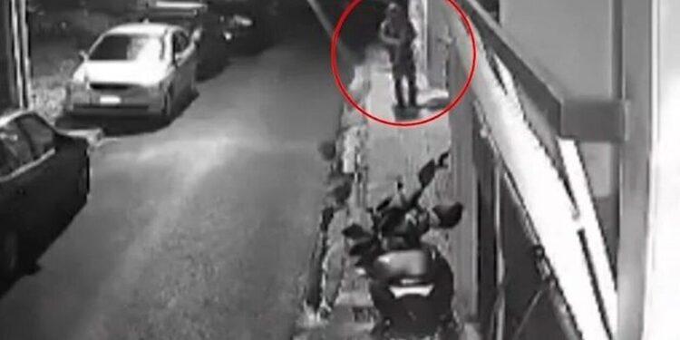 Βοτανικός: Στη φυλακή ο 33χρονος που σκότωσε γάτες