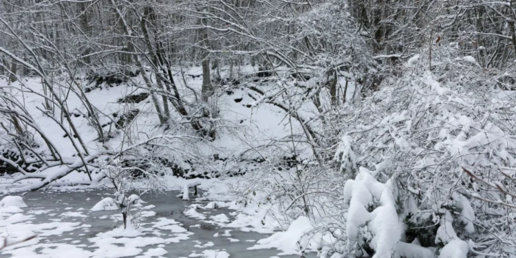 Καιρός: Νέο κύμα κακοκαιρίας από την Κυριακή – Για παντουρκικό χιονιά και χειμωνιάτικη φωτοβολίδα μιλούν οι μετεωρολόγοι
