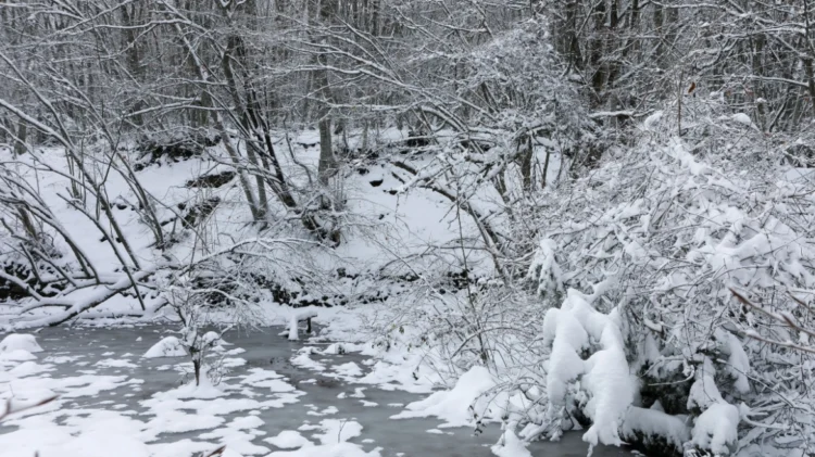 Καιρός: Νέο κύμα κακοκαιρίας από την Κυριακή – Για παντουρκικό χιονιά και χειμωνιάτικη φωτοβολίδα μιλούν οι μετεωρολόγοι