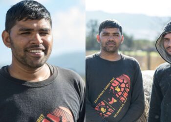 Ινδοί αγρότες ήρθαν στην Χαλκιδική για να γίνουν κτηνοτρόφοι: «Μας χαμογέλασε η τύχη»