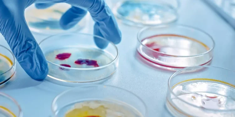 Θλιβερή πρωτιά της Ελλάδας στην ΕΕ σε θανάτους από λοιμώξεις – Το νέο σχέδιο του υπουργείου Υγείας για τα αντιβιοτικά