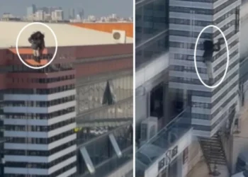 Κωνσταντινούπολη: Μυστήριο με αυτοκτονία 54χρονης Ελληνίδας – Έπεσε από οροφή εμπορικού κέντρου