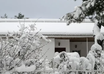 Κολυδάς: Ο χιονιάς θα έρθει σε δύο κύματα -«Βουτιά» της θερμοκρασίας και θυελλώδεις άνεμοι από την Κυριακή