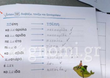 Χαλκίδα: Μαθητής πρώτης δημοτικού έγραψε σε άσκηση με καταλήξεις… «ΠΑΟΚάρα»! (pic)