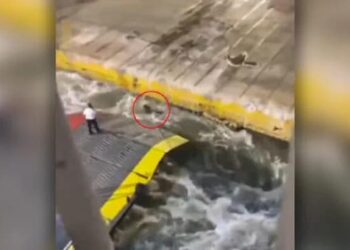 «Μυστηριώδης» Πόρσε ανασύρθηκε  στο σημείο που σκότωσαν τον Αντώνη Καρυώτη στο λιμάνι του Πειραιά