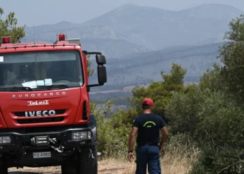Συναγερμός στην Ηλεία: Εντοπίστηκε σορός σε φράγμα στον Αλφειό ποταμό