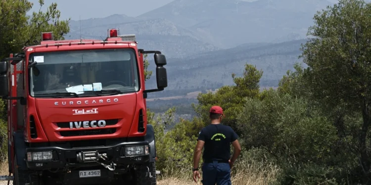 Συναγερμός στην Ηλεία: Εντοπίστηκε σορός σε φράγμα στον Αλφειό ποταμό