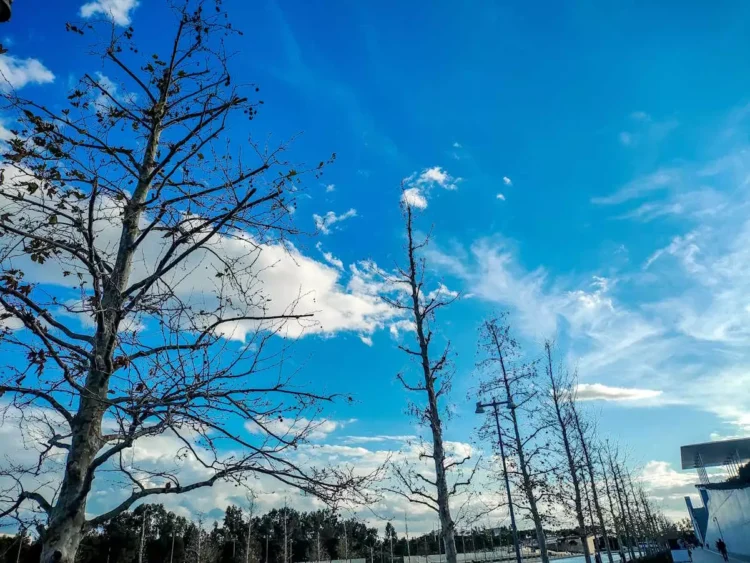 Καιρός: Ανεβαίνει η θερμοκρασία το τριήμερο της 25ης Μαρτίου – Σε ποιες περιοχές θα γίνει παρέλαση με βροχή