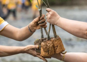 Η Ευρωπαϊκή Ένωση ψήφισε νόμο φύτευσης τριών δισ. δέντρων στα κράτη μέλη