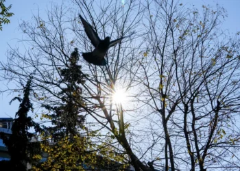 Καλοκαιρία σήμερα Σάββατο, στους 18°C το θερμόμετρο – Σε άνοδο την Κυριακή η θερμοκρασία