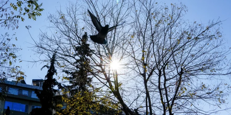 Καλοκαιρία σήμερα Σάββατο, στους 18°C το θερμόμετρο – Σε άνοδο την Κυριακή η θερμοκρασία