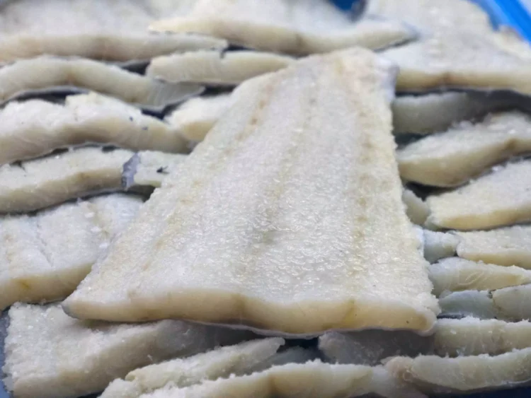 Μπακαλιάρος ή λινγκ: Πώς να τα ξεχωρίσετε