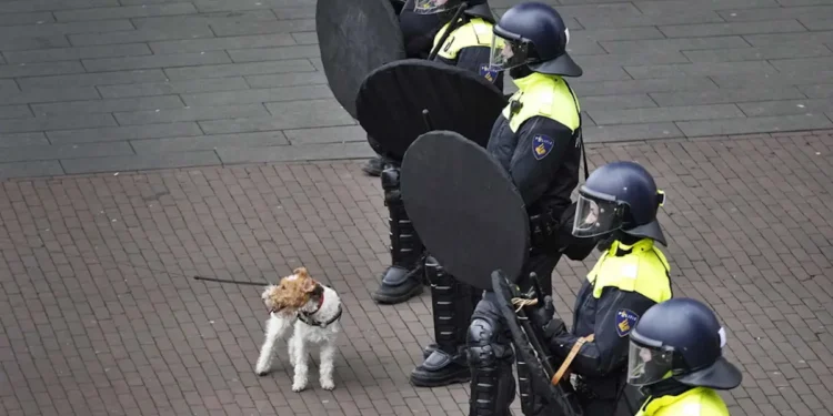 Συναγερμός στην Ολλανδία: Άνδρας με εκρηκτικά κρατά ομήρους σε καφετέρια – Εκκενώθηκαν 150 σπίτια