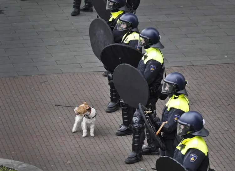 Συναγερμός στην Ολλανδία: Άνδρας με εκρηκτικά κρατά ομήρους σε καφετέρια – Εκκενώθηκαν 150 σπίτια