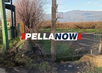 Πέλλα: Το σημείο που ξεψύχησαν ο 20χρονος και ο 21χρονος – Στο νοσοκομείο ο οδηγός