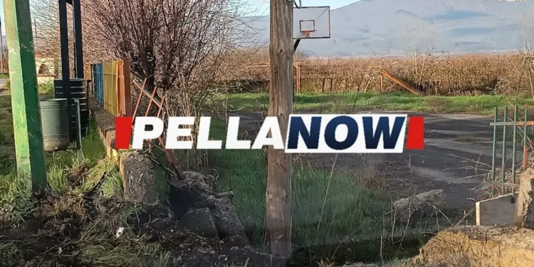 Πέλλα: Το σημείο που ξεψύχησαν ο 20χρονος και ο 21χρονος – Στο νοσοκομείο ο οδηγός