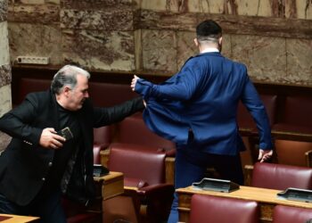 Ο πρώην βουλευτής των Σπαρτιατών, Φλώρος, γρονθοκόπησε μέσα στην ολομέλεια βουλευτή της Ελληνικής Λύσης