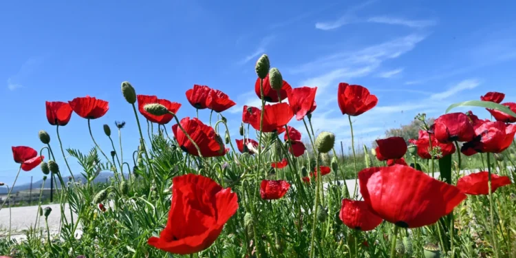 Καιρός: Έρχεται… ανοιξιάτικο Σαββατοκύριακο με υψηλές θερμοκρασίες ως 27°C