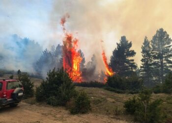“Καλύτερη η εικόνα” της φωτιάς στα Πιέρια Όρη – Συνεχίζουν να επιχειρούν ισχυρές δυνάμεις της Πυροσβεστικής