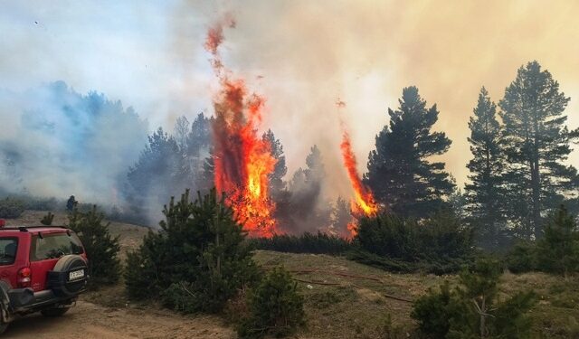 “Καλύτερη η εικόνα” της φωτιάς στα Πιέρια Όρη – Συνεχίζουν να επιχειρούν ισχυρές δυνάμεις της Πυροσβεστικής