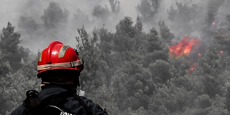 Ευρωπαϊκά κονδύλια και ειδικά αεροσκάφη για τις φωτιές του καλοκαιριού – Τι θα πάρει η Ελλάδα