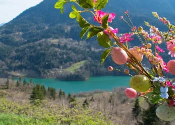 Καιρός: Με ισχυρούς ανέμους, ζέστη και βροχές θα κυλήσει η Μεγάλη Εβδομάδα -Πώς θα ψήσουμε τον οβελία