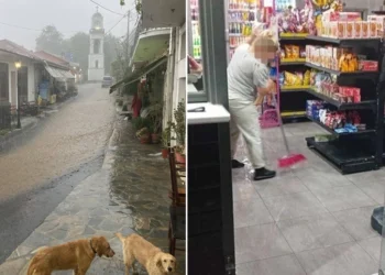 Πλημμύρισαν οι δρόμοι σε Καρδίτσα και Πήλιο, πού χιόνισε – Δείτε live την πορεία της κακοκαιρίας