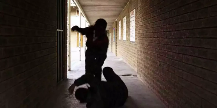 Σέρρες: Διεύθυνση σχολείου επιβεβαιώνει τον ξυλοδαρμό 15χρονης μαθήτριας, ανέβηκε το βίντεο στο Instagram