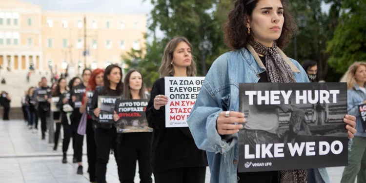 «Η σφαγή δεν είναι αγάπη»: Διαμαρτυρία vegans στο Σύνταγμα – Δείτε φωτογραφίες