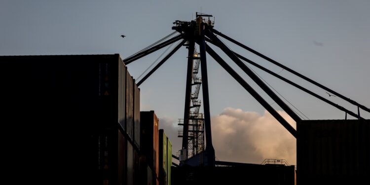 Λιμάνι Πειραιά: Βρέθηκαν 250 κιλά κοκαΐνης σε κοντέινερ με γαρίδες