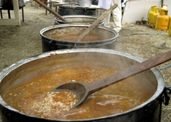 Ηλεία: «Ένα μικρό κομμάτι προβατίνας φάγαμε και κιτρινίσαμε από τους εμετούς» λένε 15χρονος και η μητέρα του