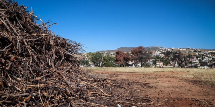 Τέλος χρόνου για τα ακαθάριστα οικόπεδα – Άνοιξε τώρα η πλατφόρμα στο gov.gr