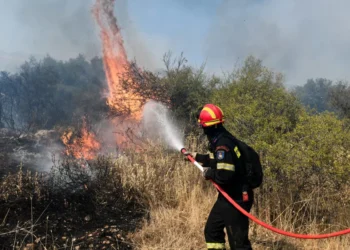 Πυροσβεστική: Ξεκίνησε από σήμερα η αντιπυρική περίοδος – Αναλυτικά οι οδηγίες προστασίας για ενδεχόμενο φωτιάς