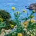 Καιρός: Συννεφιά και 26άρια, σε ποιες περιοχές θα βρέξει σήμερα