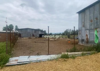 Κιλκίς: «Τους έχει σιχαθεί όλο το χωριό» – Τι λέει ο πατέρας του κτηνοτρόφου για τους 4 διαρρήκτες