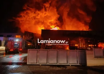 Λαμία: Στάχτη έγινε το εργοστάσιο όπου παρασκευάστηκαν τα αλλοιωμένα σχολικά γεύματα