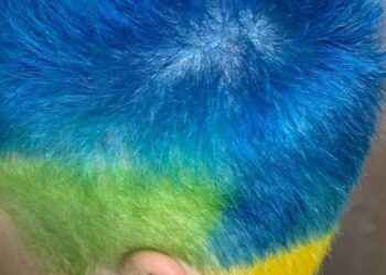 Πρόστιμο σε Ρώσο που έβαψε τα μαλλιά του στα χρώματα της Ουκρανίας (Εικόνα)